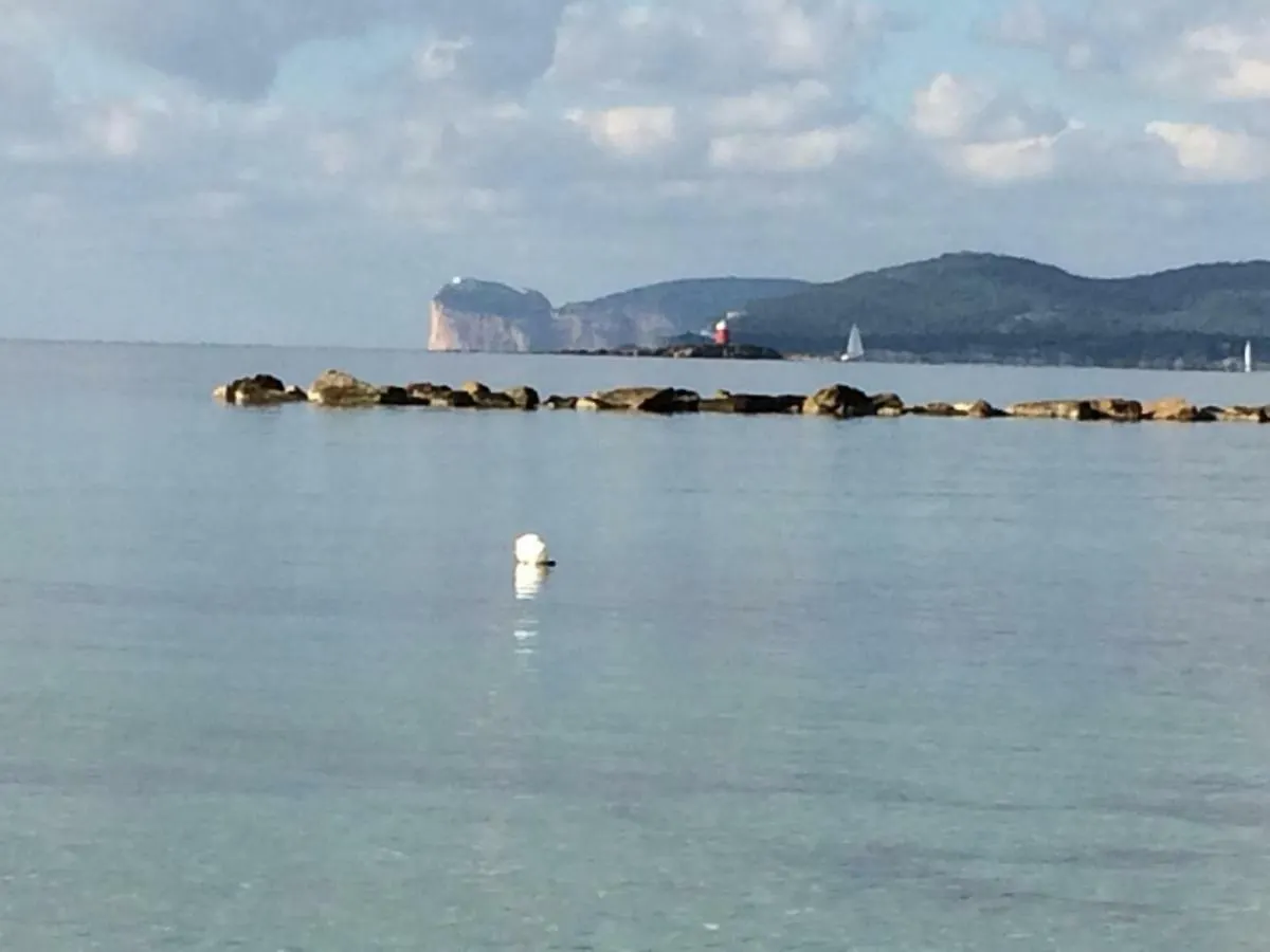 Appartement Appartamento Fronte Spiaggia Lido Alghero